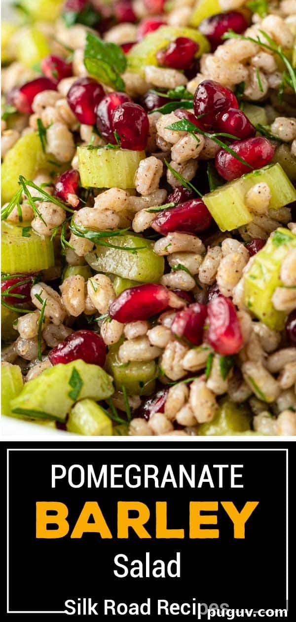 Egyptian Barley Salad with Pomegranate and Fresh Herbs 9 titled image (and shown): pomegranate barley salad