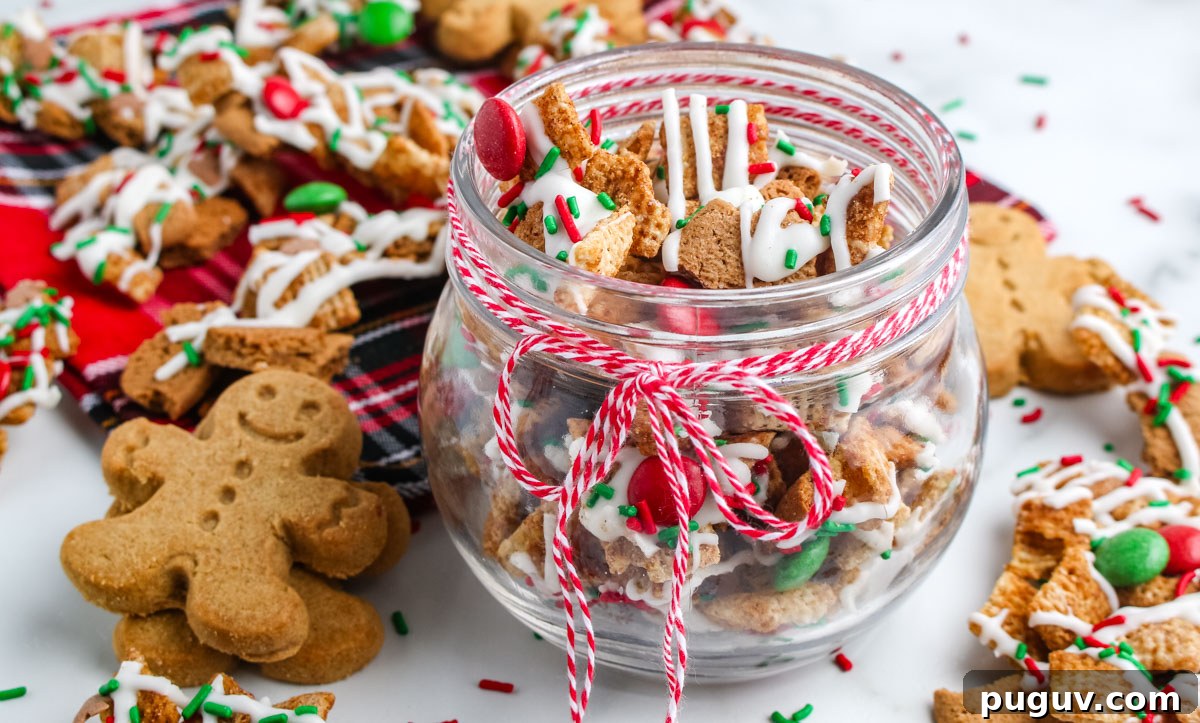 Gingerbread Chex Mix Puppy Chow — Festive Holiday Snack Recipe 3 Glass jar filled with Gingerbread Chex Mix tied with red and white baker’s twine, surrounded by gingersnap cookies and festive mix on a plaid napkin.