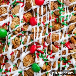 Gingerbread Chex Mix Puppy Chow — Festive Holiday Snack Recipe 9 Macro image of Gingerbread Chex Mix showing texture of cereal coated in white chocolate, red and green candies, and sprinkles.