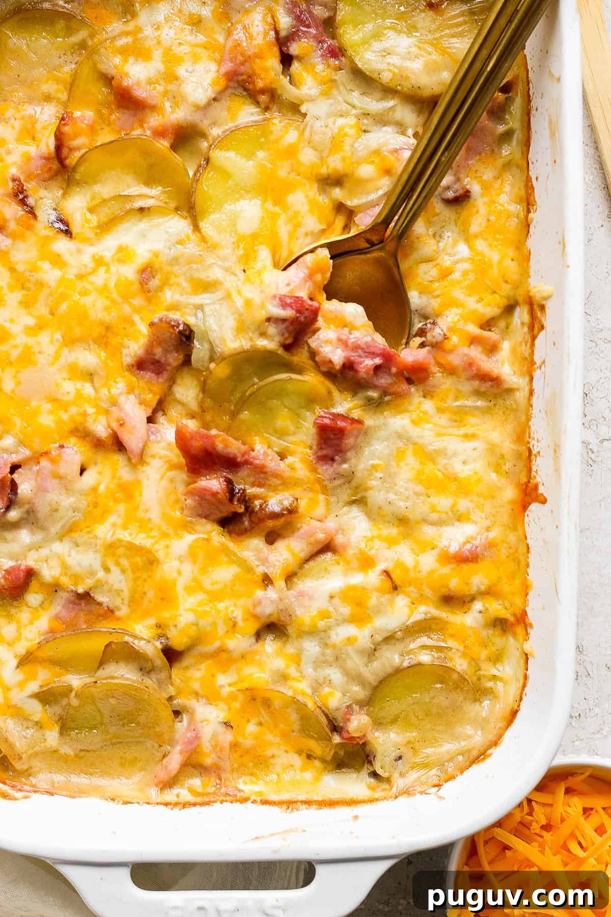 The best scalloped ham and potatoes recipe.