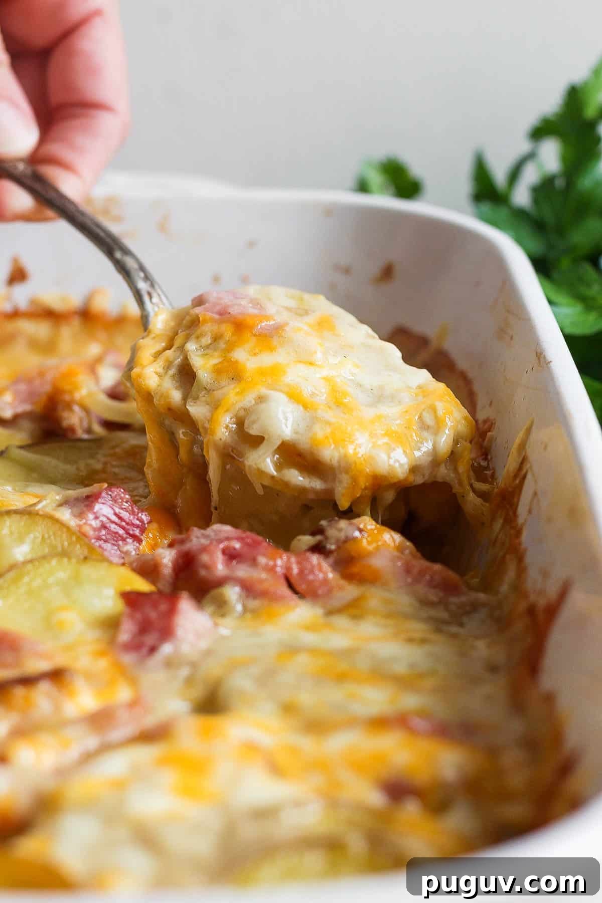 A large spoon scooping some of the scalloped ham and potatoes.