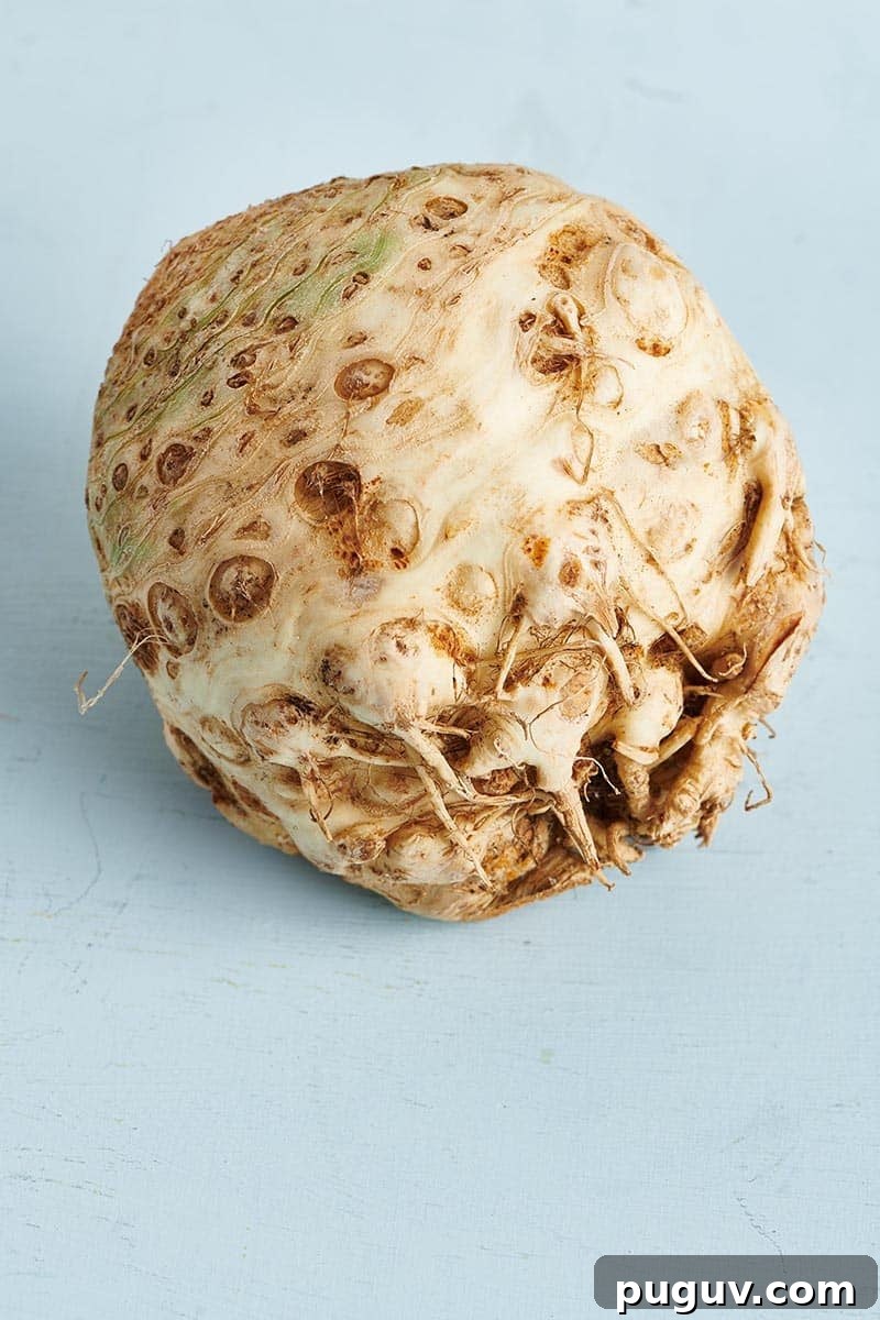 How to Cook Celeriac: Simple Techniques and Delicious Recipes 2 Whole Celeriac on a light blue table.