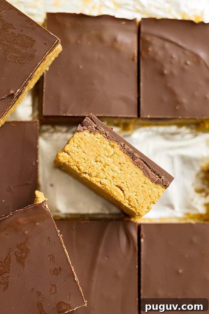 No-Bake Chocolate Peanut Butter Bars Recipe: No Oven Needed 4 No bake chocolate peanut butter bars cut into squares with one turned on its side.