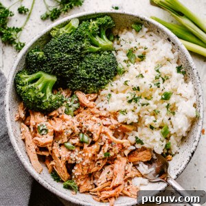 Instant Pot Honey Garlic Chicken & Rice Recipe for Busy Nights 2 Bowl of Instant Pot Honey Garlic Chicken
