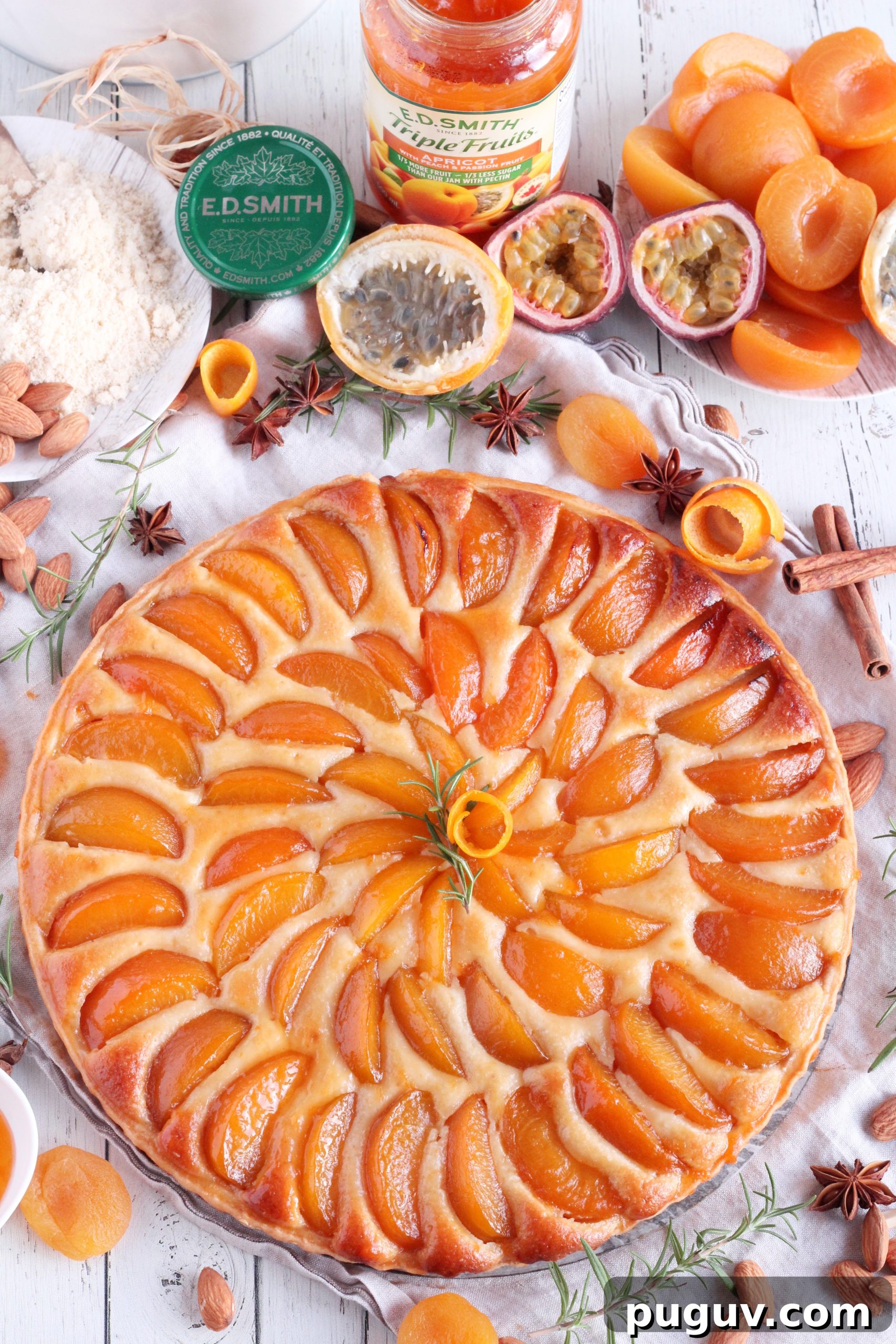 Apricot Tart with Almond Frangipane Filling 2 apricot tart filled with almond cream and topped with apricots