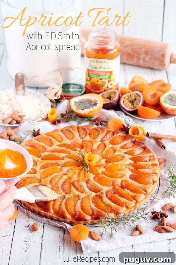 Apricot Tart with Almond Frangipane Filling 13 Apricot Tart pinterest
