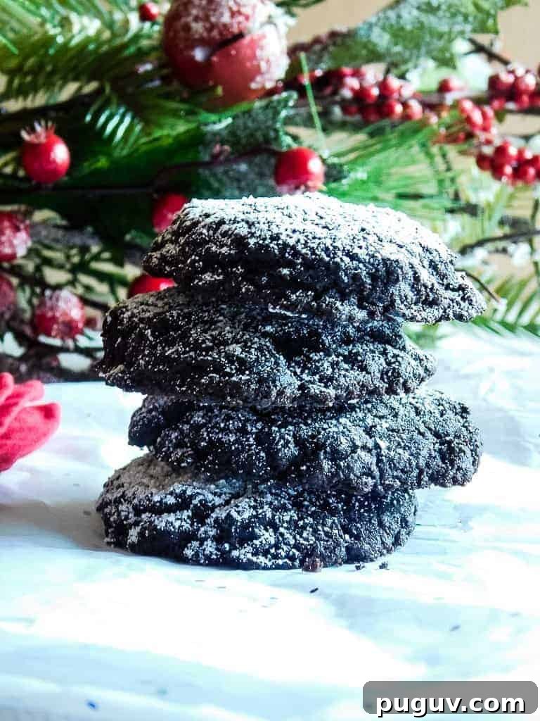 3 Delicious Cookies from One Gluten-Free Chocolate Cake Mix 2 gluten free chocolate cookies stacked