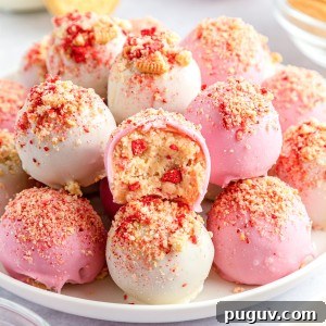 Strawberry Crunch Cookie Balls Recipe — No-Bake Dessert Bites 12 strawberry crunch cookie balls recipe
