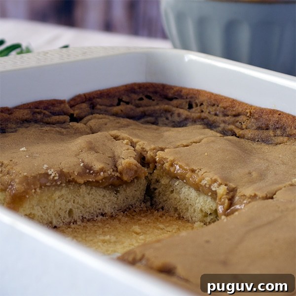 Decadent Bananas Foster Butter Cake Recipe for Dessert Fans 4 A pan of St. Louis Gooey Butter Cake with one piece removed.