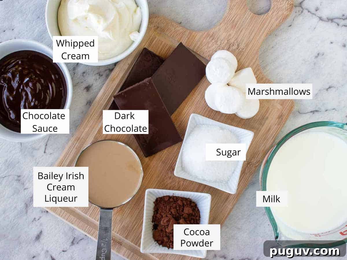 Decadent Baileys Hot Chocolate Recipe for Cozy Nights 3 Ingredients required to make the recipe prepared on the kitchen counter.