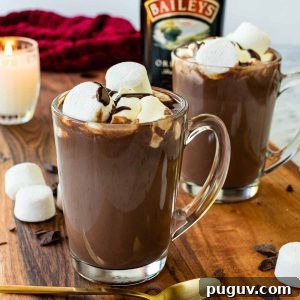 Decadent Baileys Hot Chocolate Recipe for Cozy Nights 7 two mugs of hot chocolate with bottle of baileys irish cream in the background.