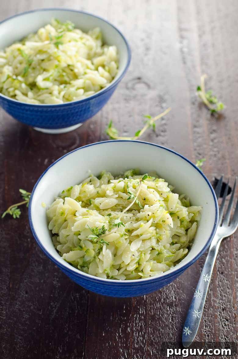 Camille Kingsolver’s Disappearing Zucchini Orzo Recipe 2 camille kingsolver's disappearing zucchini orzo