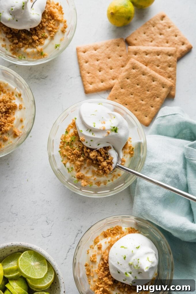 Countertop set with individual no bake key lime pies, extra graham crackers, and key limes.