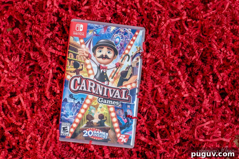 How a Gaming Console Can Bring Your Family Together 3 Carnival game