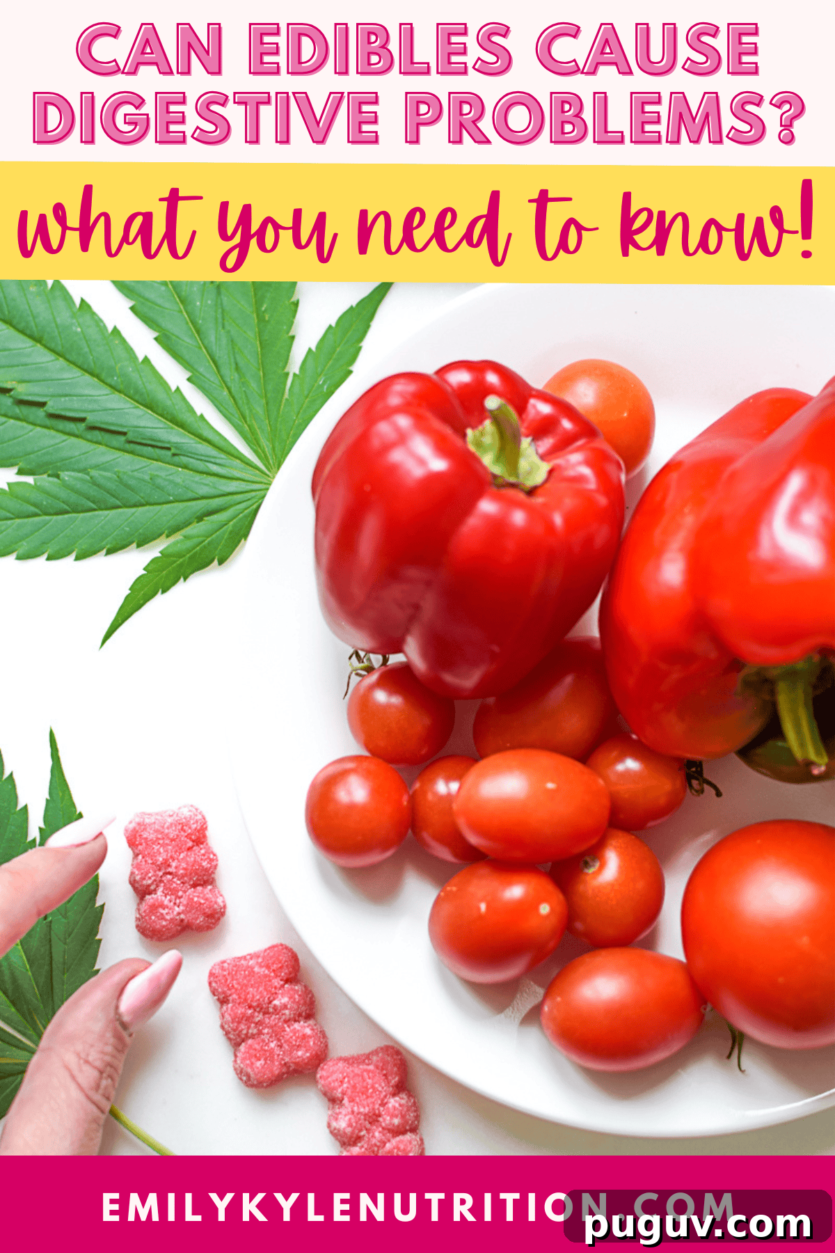 Can Cannabis Edibles Cause Severe Digestive Issues? 2 Text that says can edibles cause digestive issues?