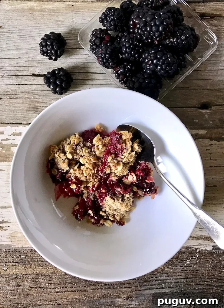 Fresh Blackberry Crisp Recipe: Homemade Summer Dessert 6 In bowl with spoon next to basket of blackberries