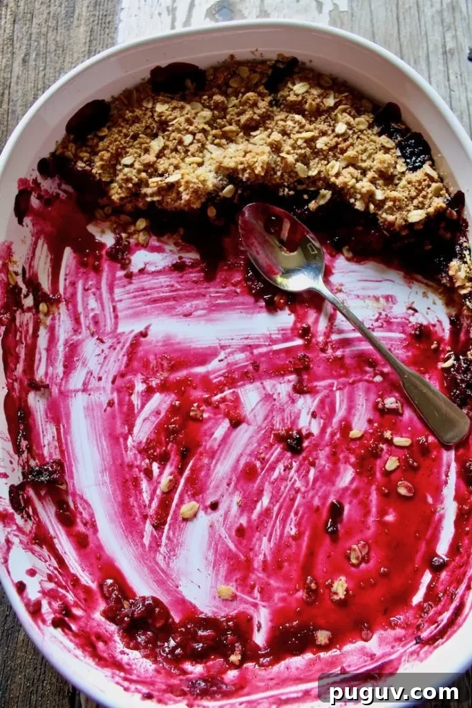 Fresh Blackberry Crisp Recipe: Homemade Summer Dessert 7 Fresh Blackberry Crisp in baking dish with spoon almost completely eaten.