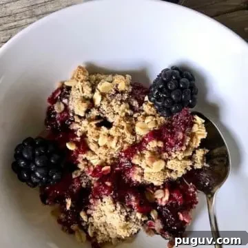 Fresh Blackberry Crisp closeup in a white bowl.