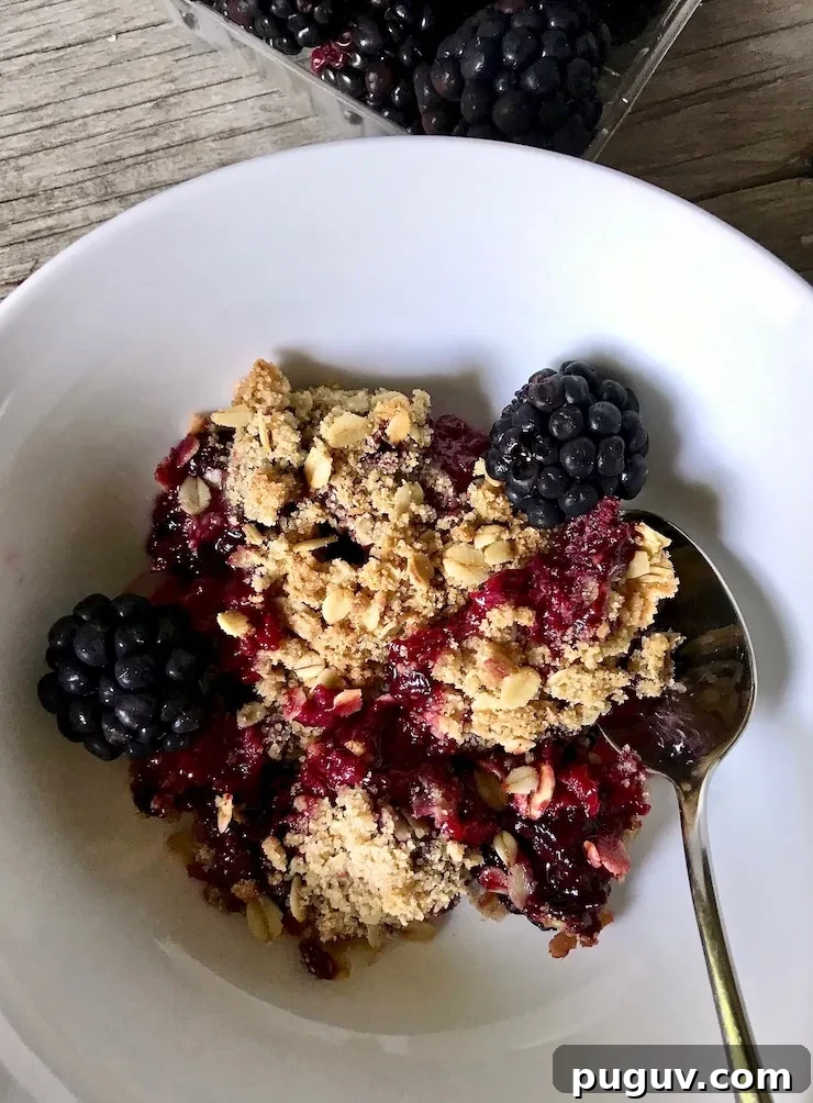 Fresh Blackberry Crisp Recipe: Homemade Summer Dessert 3 Closeup in a white bowl with spoon.