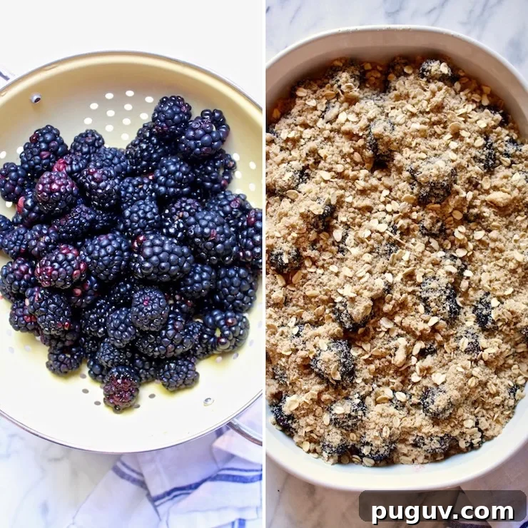Fresh Blackberry Crisp Recipe: Homemade Summer Dessert 4 Side by side photo of blackberries and in the baking dish with topping.