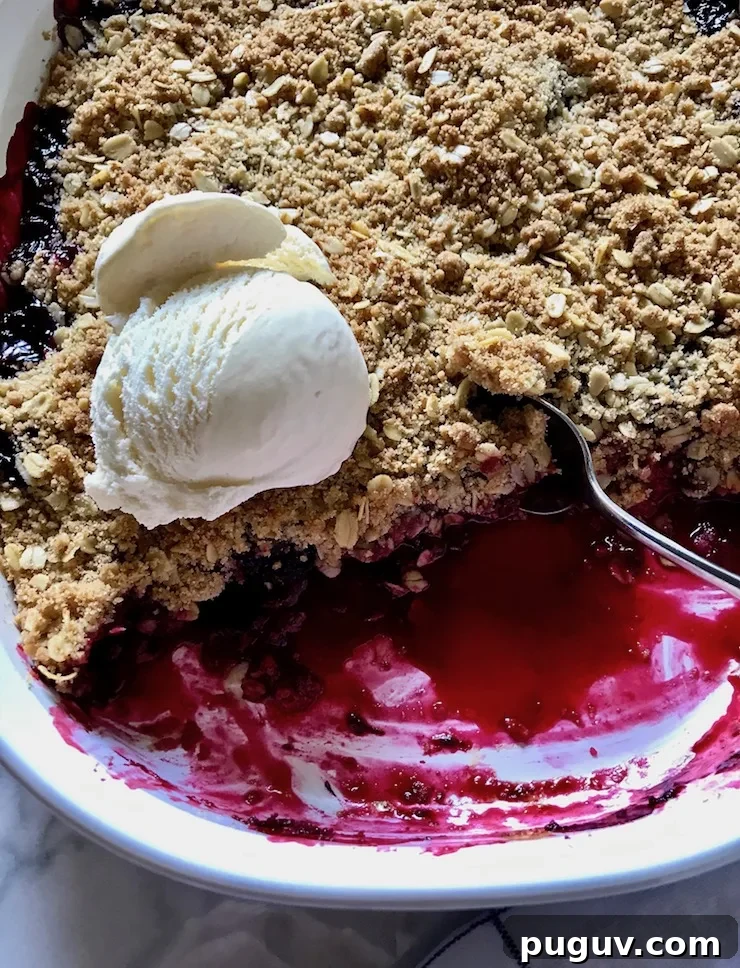 Fresh Blackberry Crisp Recipe: Homemade Summer Dessert 5 In baking dish with ice cream and spoon.