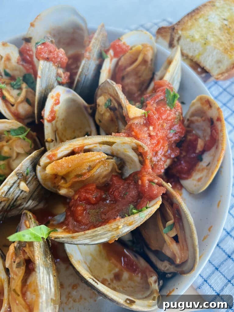 Clams Posillipo in Spicy Tomato Sauce (Zuppa di Vongole) 2 Clams posillipo in red sauce in white bowl topped with chopped parsley and toasted bread in background.