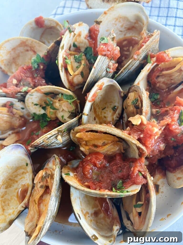 Clams Posillipo in Spicy Tomato Sauce (Zuppa di Vongole) 11 Close up of clams posillipo in white bowl.
