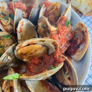 Clams Posillipo in Spicy Tomato Sauce (Zuppa di Vongole) 14 Clams posillipo in red sauce in white bowl topped with chopped parsley and toasted bread in background.