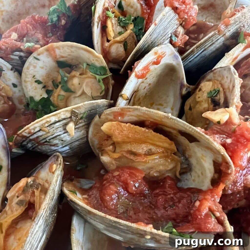 Clams Posillipo in Spicy Tomato Sauce (Zuppa di Vongole) 4 Close up of clams posillipo with chunks of tomato and chopped parsley.