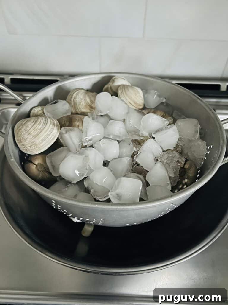 Clams Posillipo in Spicy Tomato Sauce (Zuppa di Vongole) 6 Clams over a bed of ice and topped with some ice in a colander in a bowl, ready to be stored in the refrigerator.