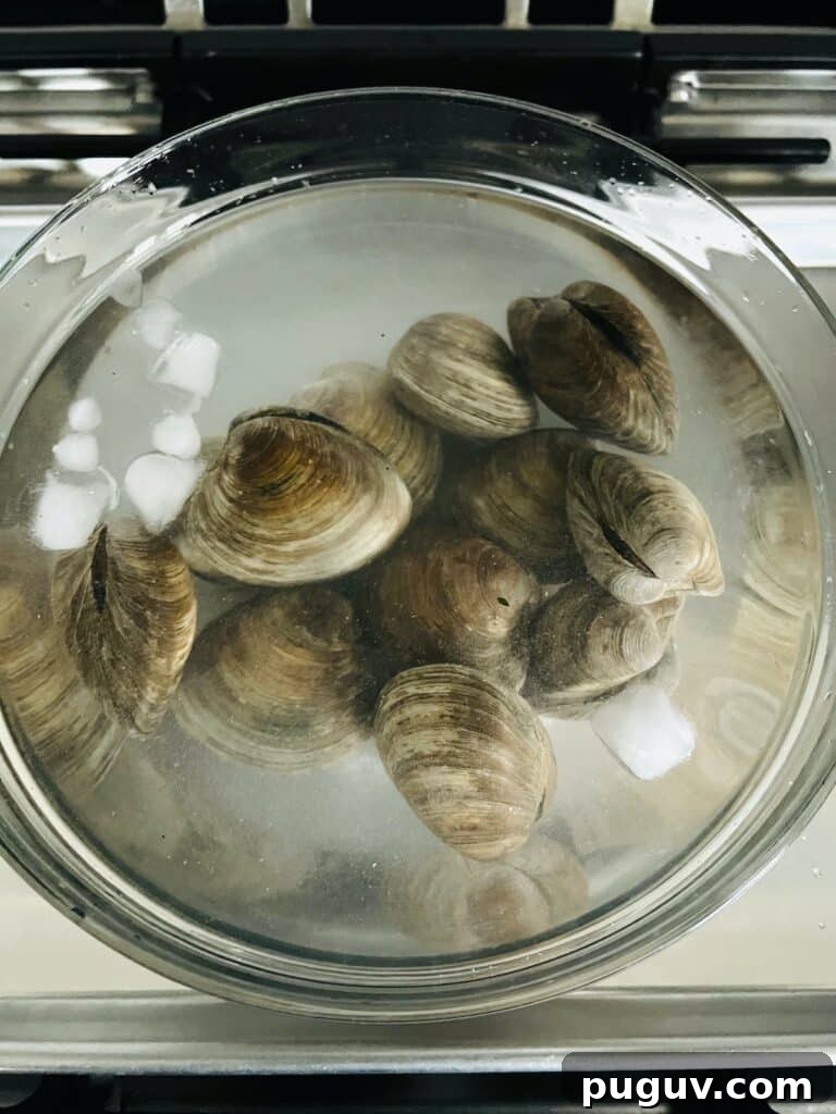 Clams Posillipo in Spicy Tomato Sauce (Zuppa di Vongole) 7 Clams immersed in salted water to purge them of trapped sand.
