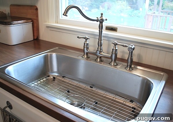 single sink and farmhouse faucet single sink and farmhouse faucet