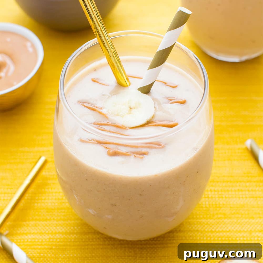 Peanut Butter Hot Chocolate Smoothie — Vegan, Gluten-Free Protein Boost 11 Peanut Butter Banana Ice Cream Smoothie