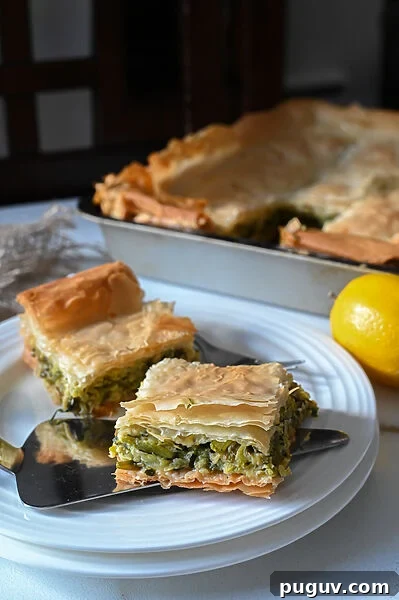 Greek zucchini pita with filo (Kolokithopita me filo)