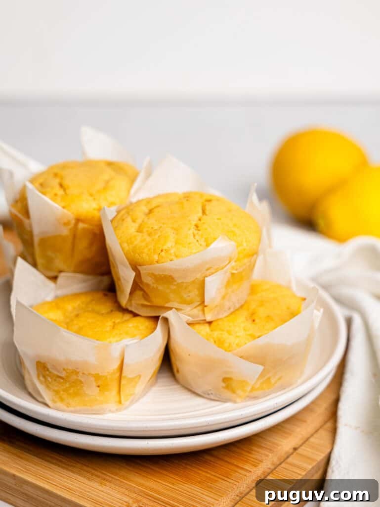 Lemon Drizzle Muffins That Actually Taste Indulgent 4 Healthy Lemon Muffins on a plate.