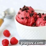 Close up shot of raspberry frozen yogurt sprinkled with chocolate chips in a white bowl with raspberries sprinkled around.