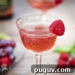 Side shot of a cocktail glass with raspberry gimlet and a raspberry as a garnish with a plate of fruit in the background.