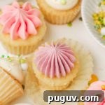 Mini Cupcakes