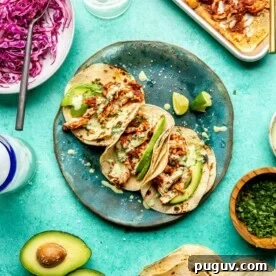 Top down view of three chicken Tinga tacos.