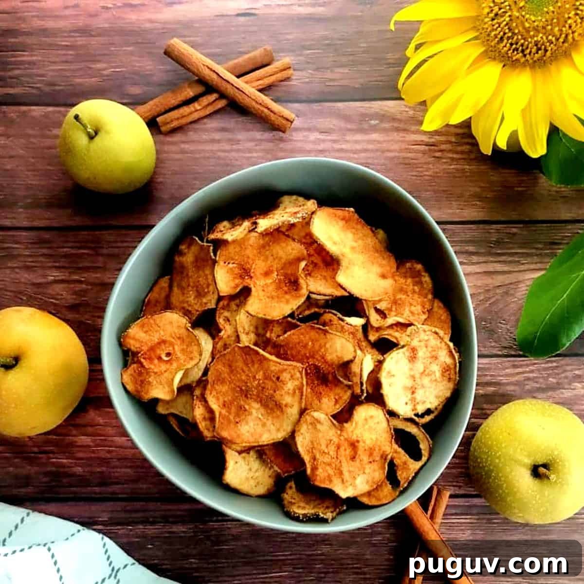 asian-pear-chips-and-pears