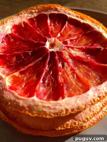 dehydrated-oranges-on-a-plate.