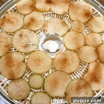 sliced asian pears with cinnamon and sugar in dehydrator