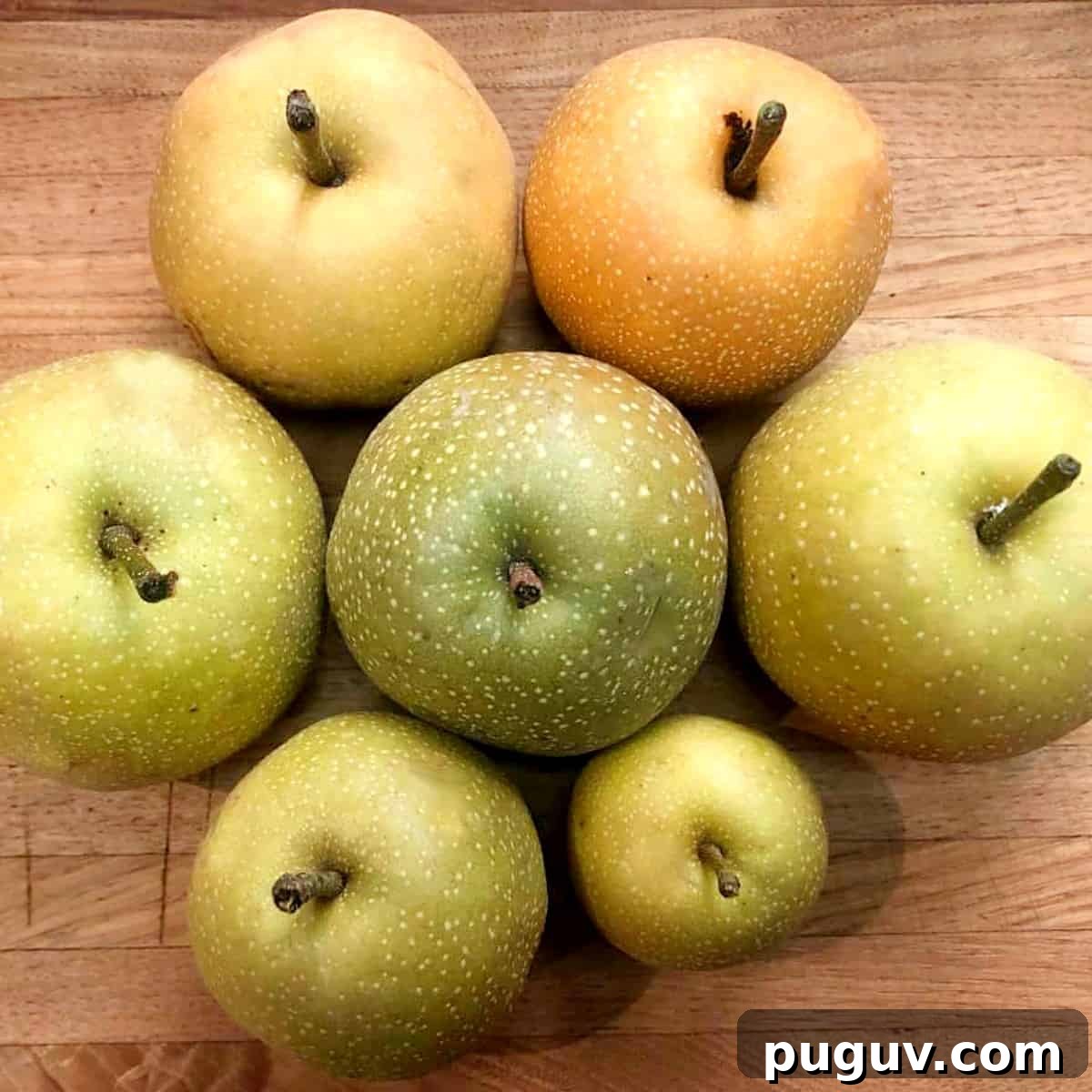 freshly-picked-asian-pears.