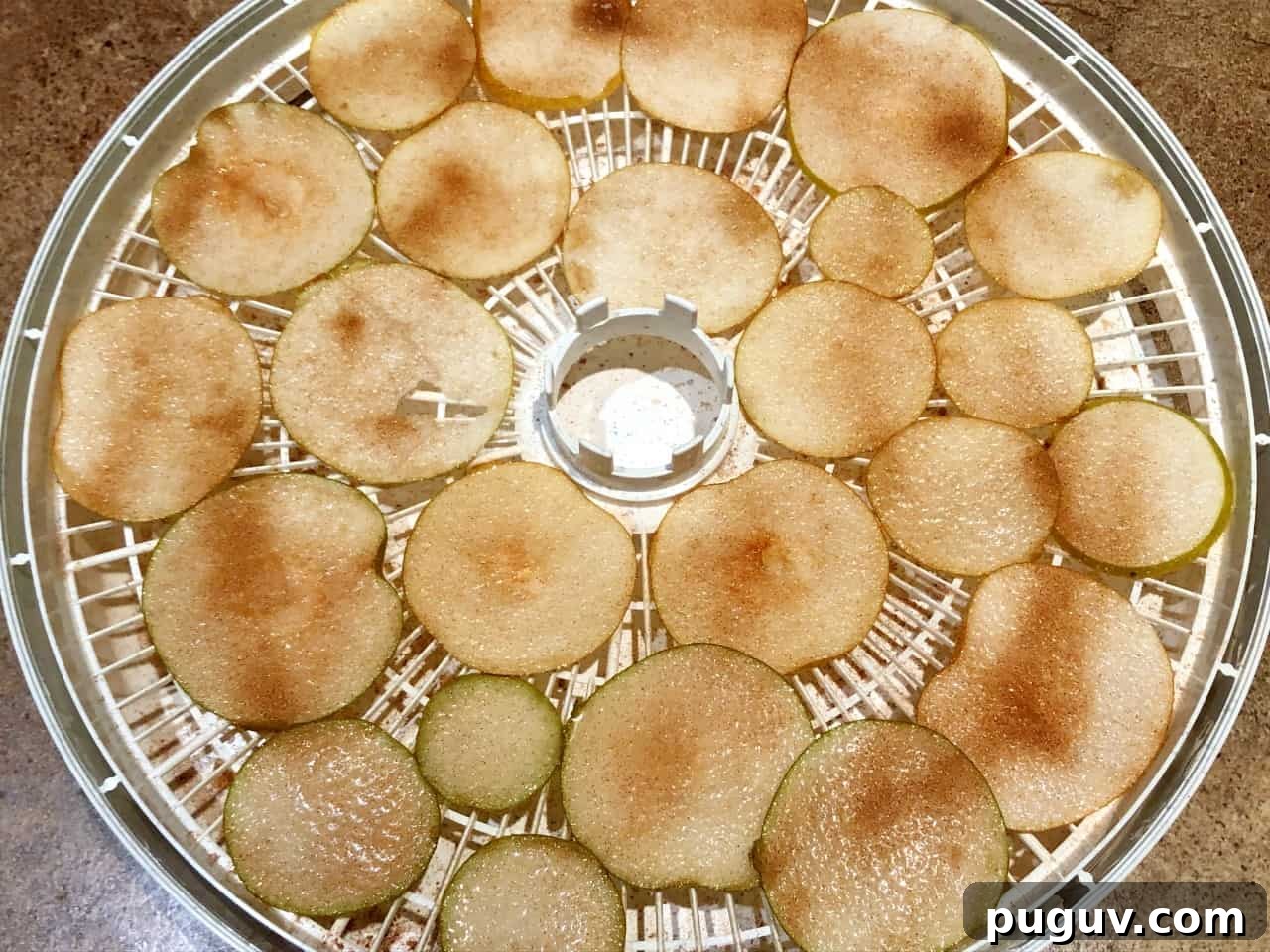 sliced asian pears with cinnamon and sugar in dehydrator