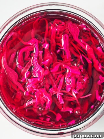Quick pickled red cabbage in a glass jar.