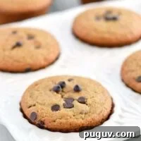 Vegan Gluten-Free Cranberry Chocolate Chip Muffins 6 Gluten Free Cranberry Chocolate Chip Muffins - nut free and vegan (top 8 free). Easy breakfast recipe