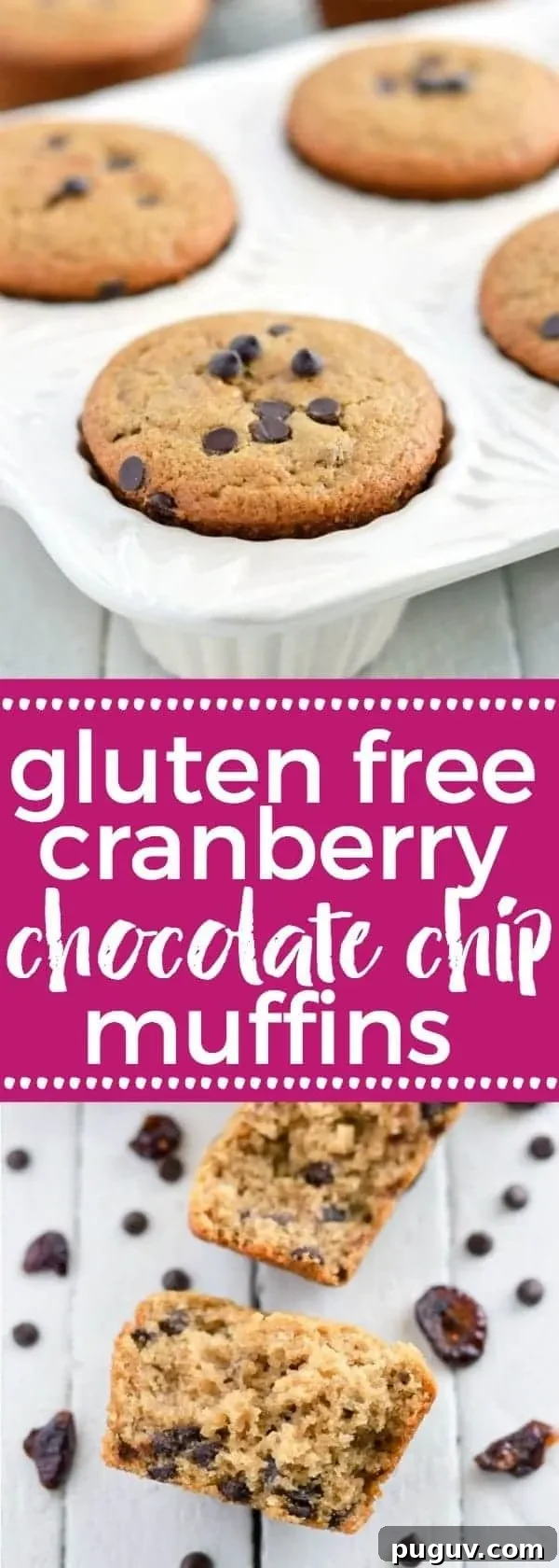 Vegan Gluten-Free Cranberry Chocolate Chip Muffins 7 Gluten Free Cranberry Chocolate Chip Muffins - nut free and vegan (top 8 free). Easy breakfast recipe collage