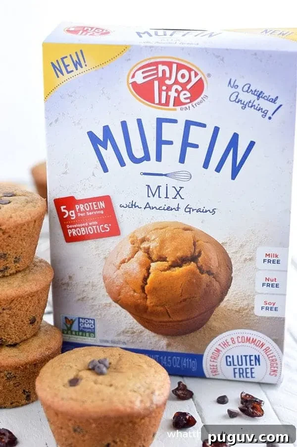 Vegan Gluten-Free Cranberry Chocolate Chip Muffins 3 Gluten Free Cranberry Chocolate Chip Muffins - nut free and vegan (top 8 free). Easy breakfast recipe
