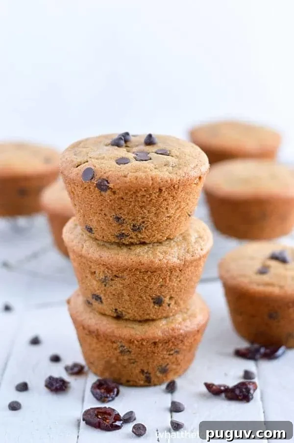 Vegan Gluten-Free Cranberry Chocolate Chip Muffins 4 Gluten Free Cranberry Chocolate Chip Muffins - nut free and vegan (top 8 free). Easy breakfast recipe