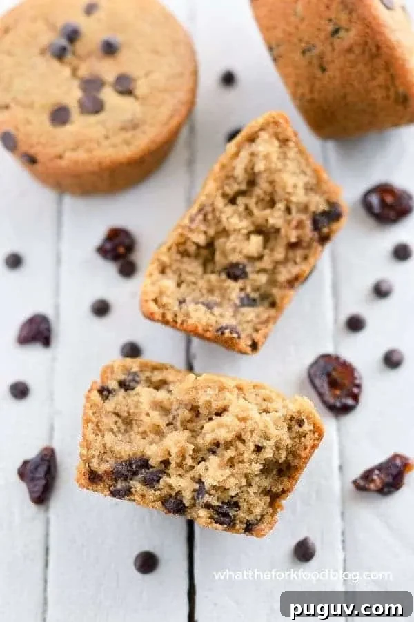 Vegan Gluten-Free Cranberry Chocolate Chip Muffins 5 Gluten Free Cranberry Chocolate Chip Muffins - nut free and vegan (top 8 free). Easy breakfast recipe